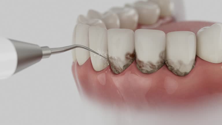 Reliable Dental contractor in Pleasant Hills, OH by Dentist Open Now